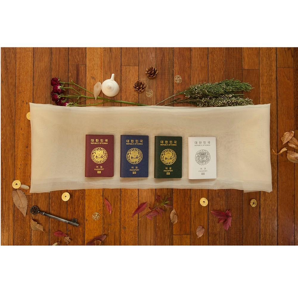SeJong Passport case